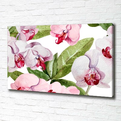 Cuadro canvas con impresión uv duradera horizontal orquídeas rosas