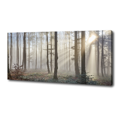 Cuadro canvas moderno de gran formato horizontal Niebla en el bosque