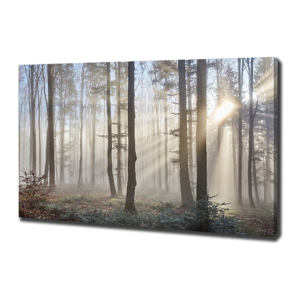 Cuadro canvas moderno de gran formato horizontal Niebla en el bosque