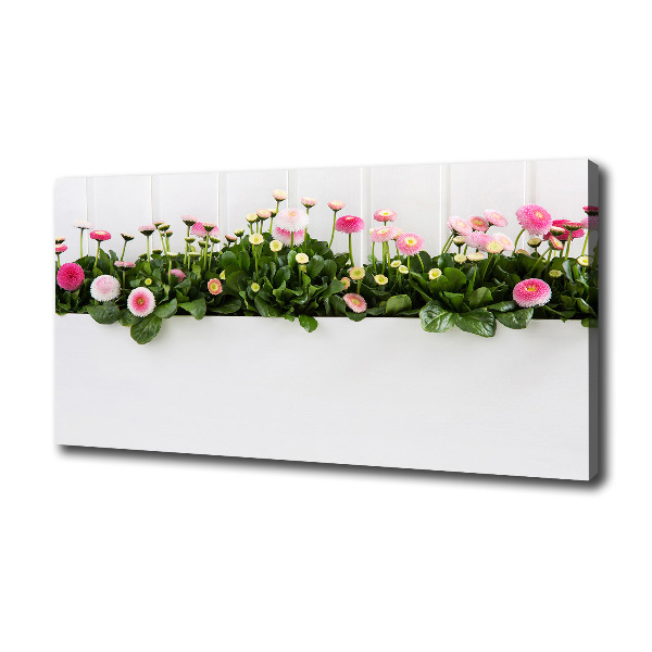Cuadro canvas con impresión uv duradera horizontal margaritas rosas
