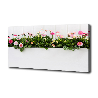 Cuadro canvas con impresión uv duradera horizontal margaritas rosas