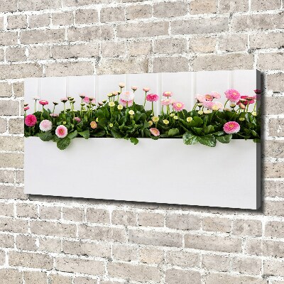 Cuadro canvas con impresión uv duradera horizontal margaritas rosas