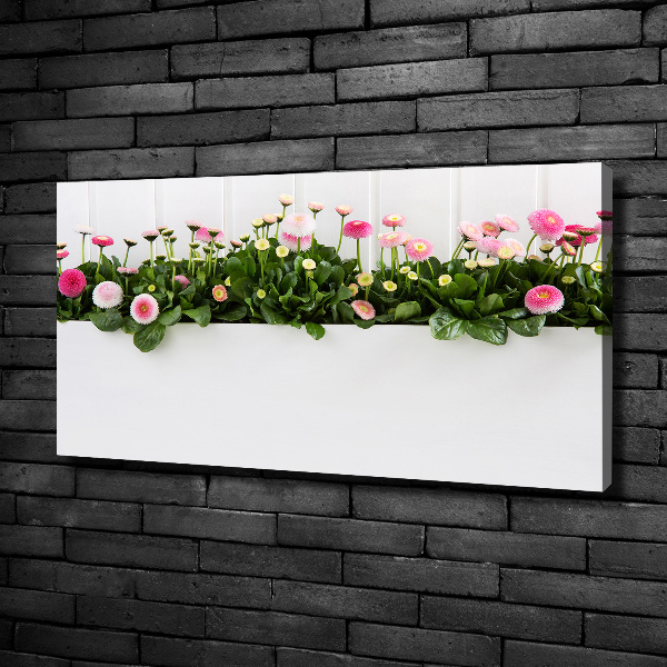 Cuadro canvas con impresión uv duradera horizontal margaritas rosas