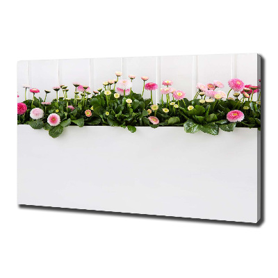 Cuadro canvas con impresión uv duradera horizontal margaritas rosas