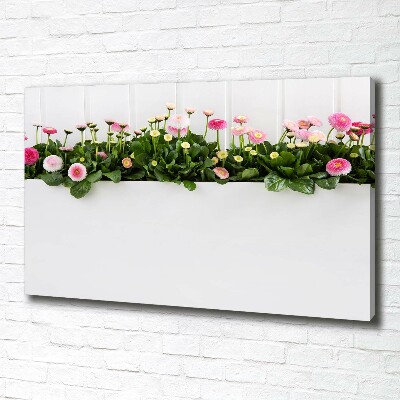 Cuadro canvas con impresión uv duradera horizontal margaritas rosas