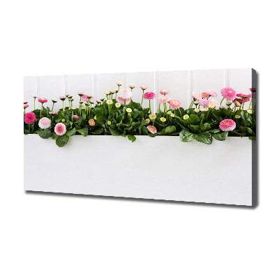 Cuadro canvas con impresión uv duradera horizontal margaritas rosas
