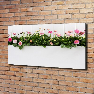 Cuadro canvas con impresión uv duradera horizontal margaritas rosas
