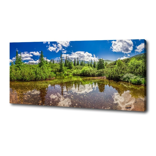 Cuadro canvas con impresión uv duradera horizontal Lago en el bosque