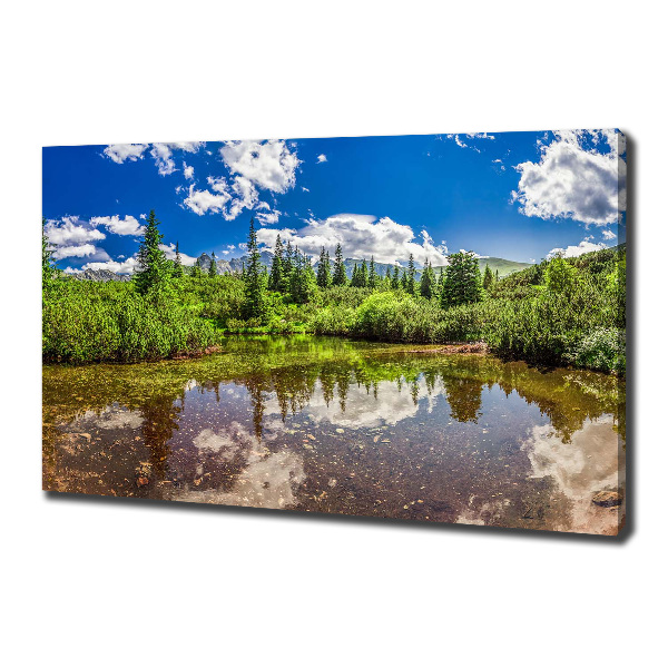 Cuadro canvas con impresión uv duradera horizontal Lago en el bosque