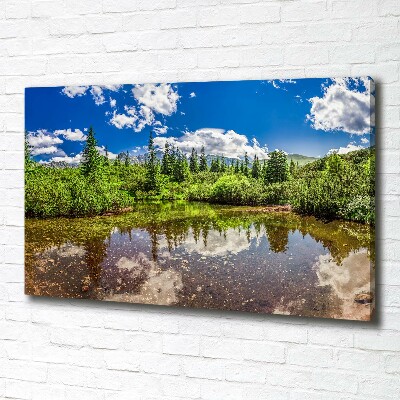 Cuadro canvas con impresión uv duradera horizontal Lago en el bosque
