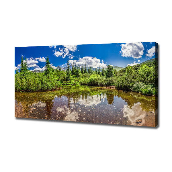 Cuadro canvas con impresión uv duradera horizontal Lago en el bosque