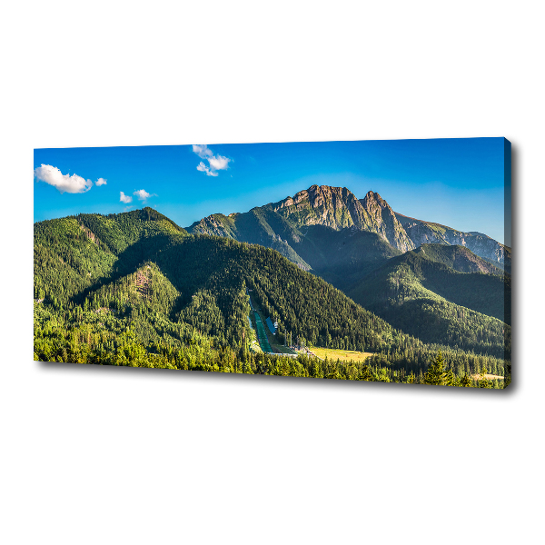 Fotocuadro en lienzo de alta calidad horizontal Panorama de los montes Tatra