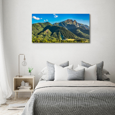 Fotocuadro en lienzo de alta calidad horizontal Panorama de los montes Tatra