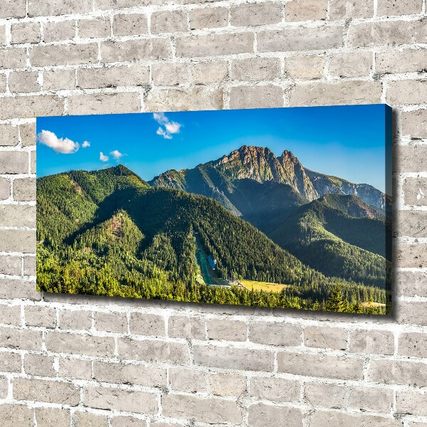 Fotocuadro en lienzo de alta calidad horizontal Panorama de los montes Tatra