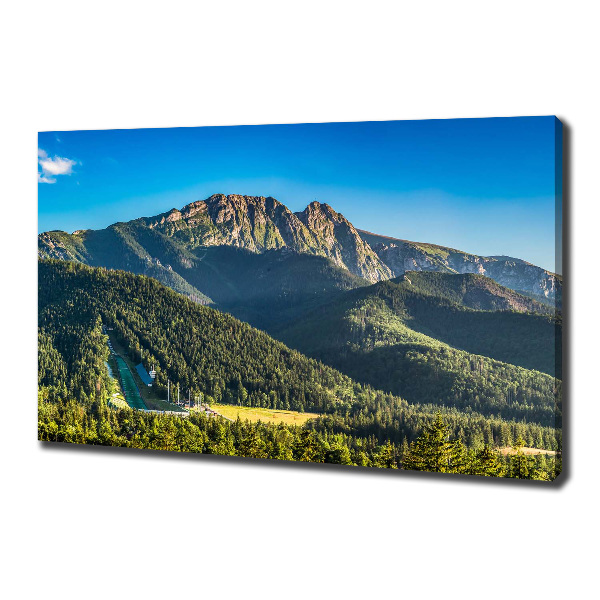 Fotocuadro en lienzo de alta calidad horizontal Panorama de los montes Tatra