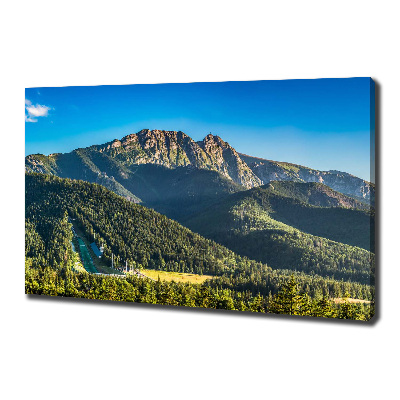 Fotocuadro en lienzo de alta calidad horizontal Panorama de los montes Tatra