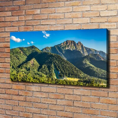 Fotocuadro en lienzo de alta calidad horizontal Panorama de los montes Tatra