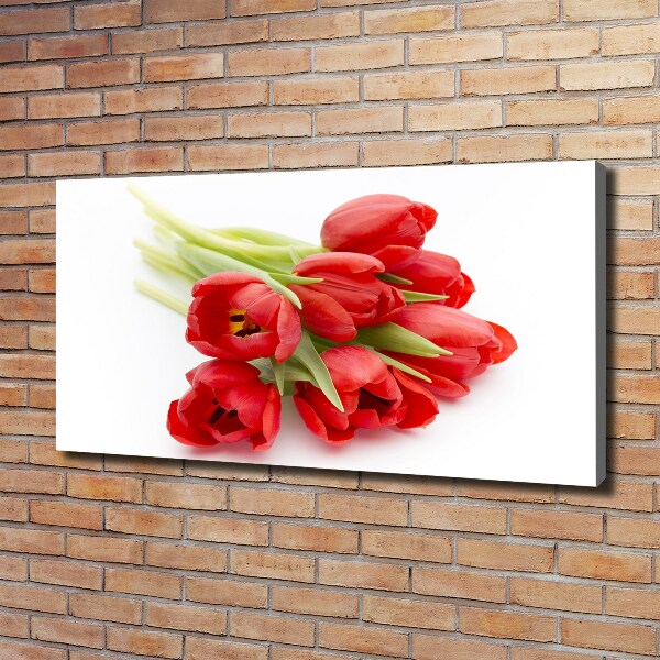 Fotocuadro en lienzo de alta calidad horizontal tulipanes rojos