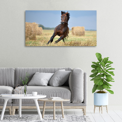 Cuadro canvas con impresión uv duradera horizontal Un caballo al galope