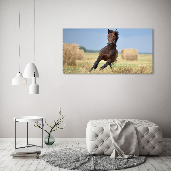 Cuadro canvas con impresión uv duradera horizontal Un caballo al galope