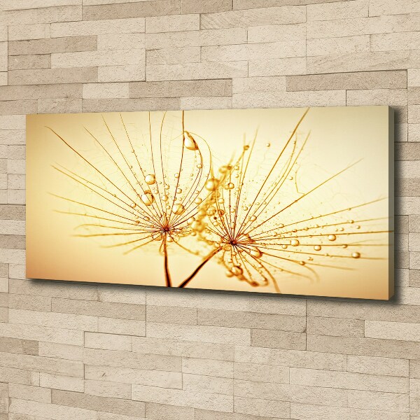 Cuadro canvas con impresión uv duradera horizontal semillas de diente de león