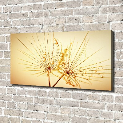 Cuadro canvas con impresión uv duradera horizontal semillas de diente de león