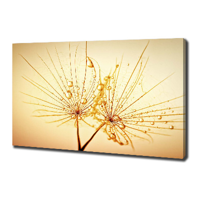 Cuadro canvas con impresión uv duradera horizontal semillas de diente de león