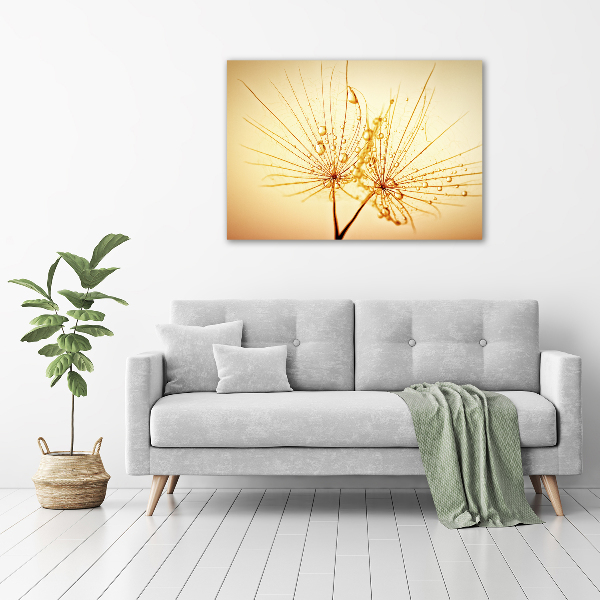 Cuadro canvas con impresión uv duradera horizontal semillas de diente de león