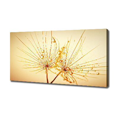 Cuadro canvas con impresión uv duradera horizontal semillas de diente de león