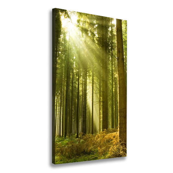 Fotografía en lienzo vertical El sol en el bosque