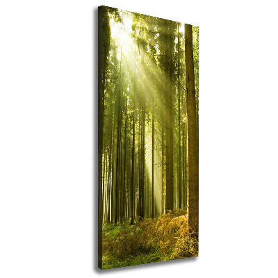 Fotografía en lienzo vertical El sol en el bosque