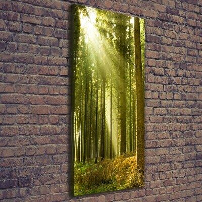 Fotografía en lienzo vertical El sol en el bosque