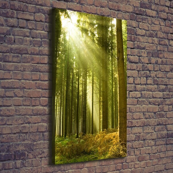 Fotografía en lienzo vertical El sol en el bosque