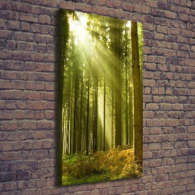 Fotografía en lienzo vertical El sol en el bosque