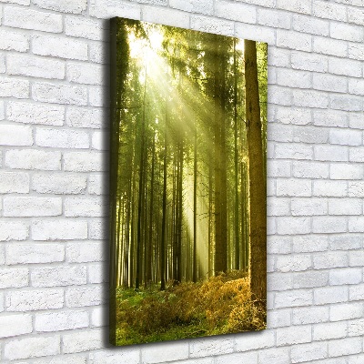 Fotografía en lienzo vertical El sol en el bosque