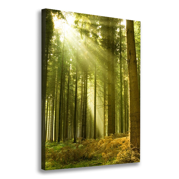 Fotografía en lienzo vertical El sol en el bosque
