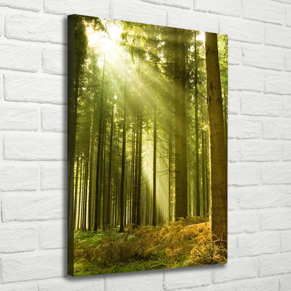 Fotografía en lienzo vertical El sol en el bosque