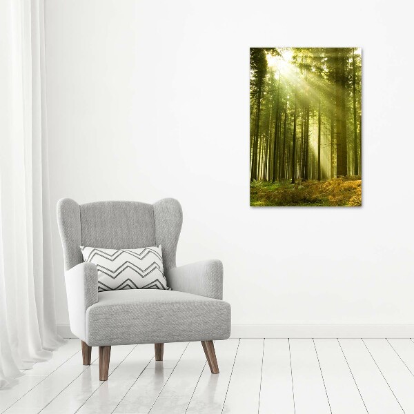 Fotografía en lienzo vertical El sol en el bosque