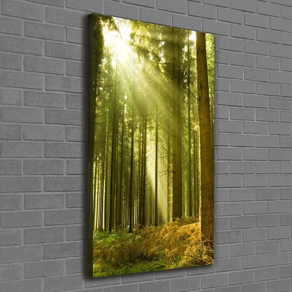 Fotografía en lienzo vertical El sol en el bosque