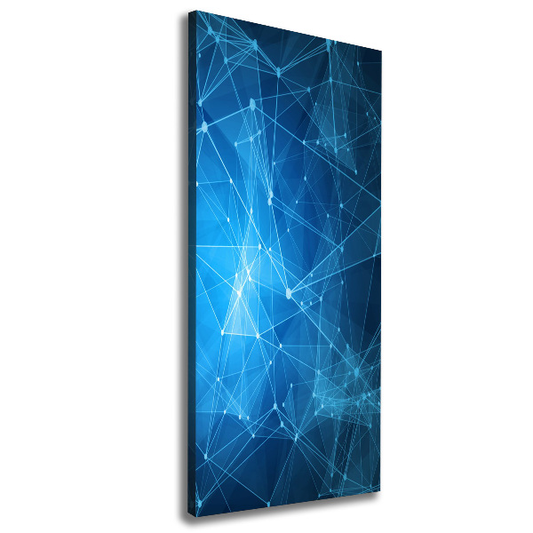 Cuadro canvas decorativo para salón vertical Constelación