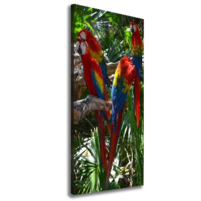 Cuadro canvas decorativo para salón vertical Loros guacamayos