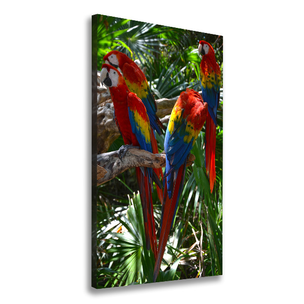 Cuadro canvas decorativo para salón vertical Loros guacamayos