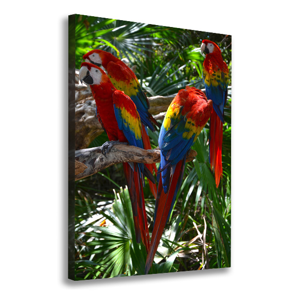 Cuadro canvas decorativo para salón vertical Loros guacamayos