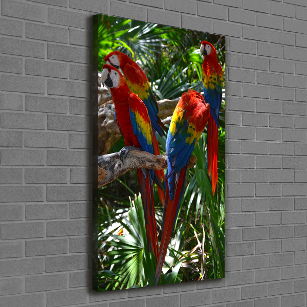 Cuadro canvas decorativo para salón vertical Loros guacamayos