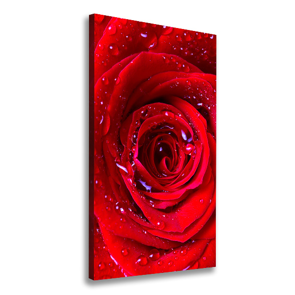 Cuadro canvas decorativo para salón vertical Rosa roja