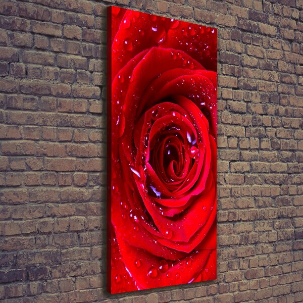 Cuadro canvas decorativo para salón vertical Rosa roja