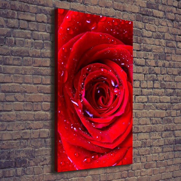 Cuadro canvas decorativo para salón vertical Rosa roja