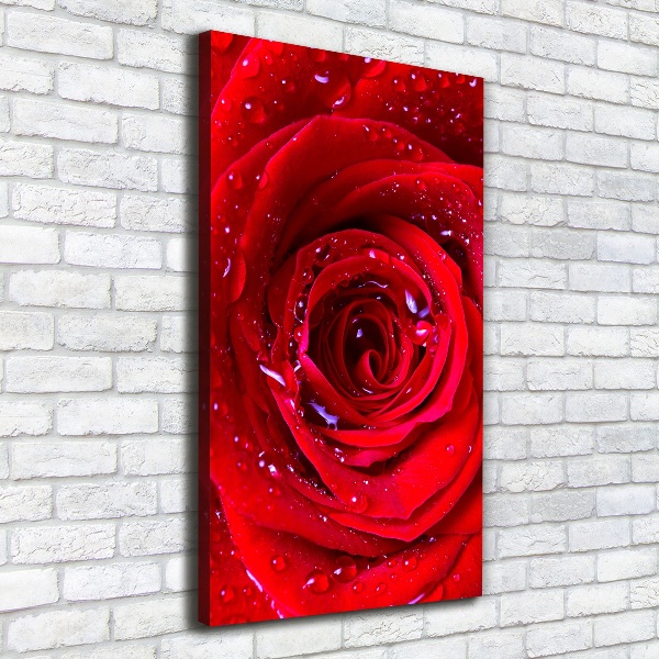 Cuadro canvas decorativo para salón vertical Rosa roja