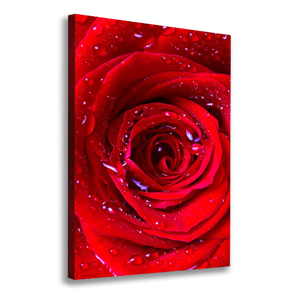Cuadro canvas decorativo para salón vertical Rosa roja