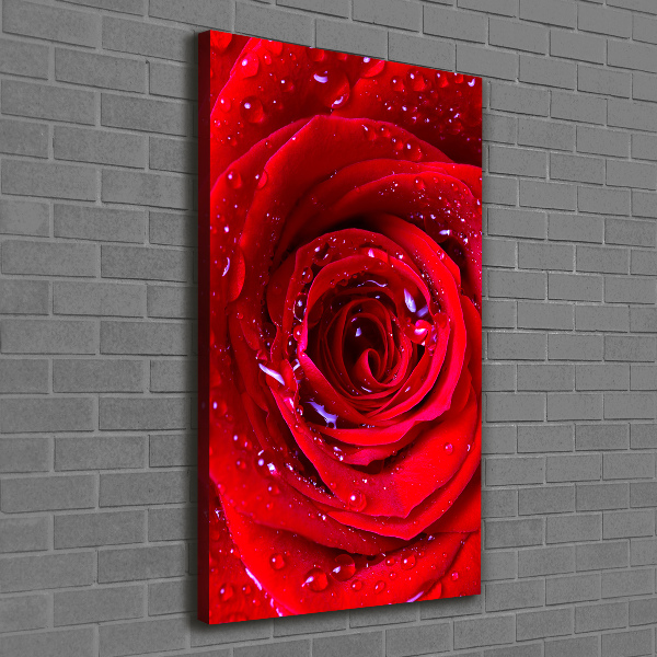 Cuadro canvas decorativo para salón vertical Rosa roja